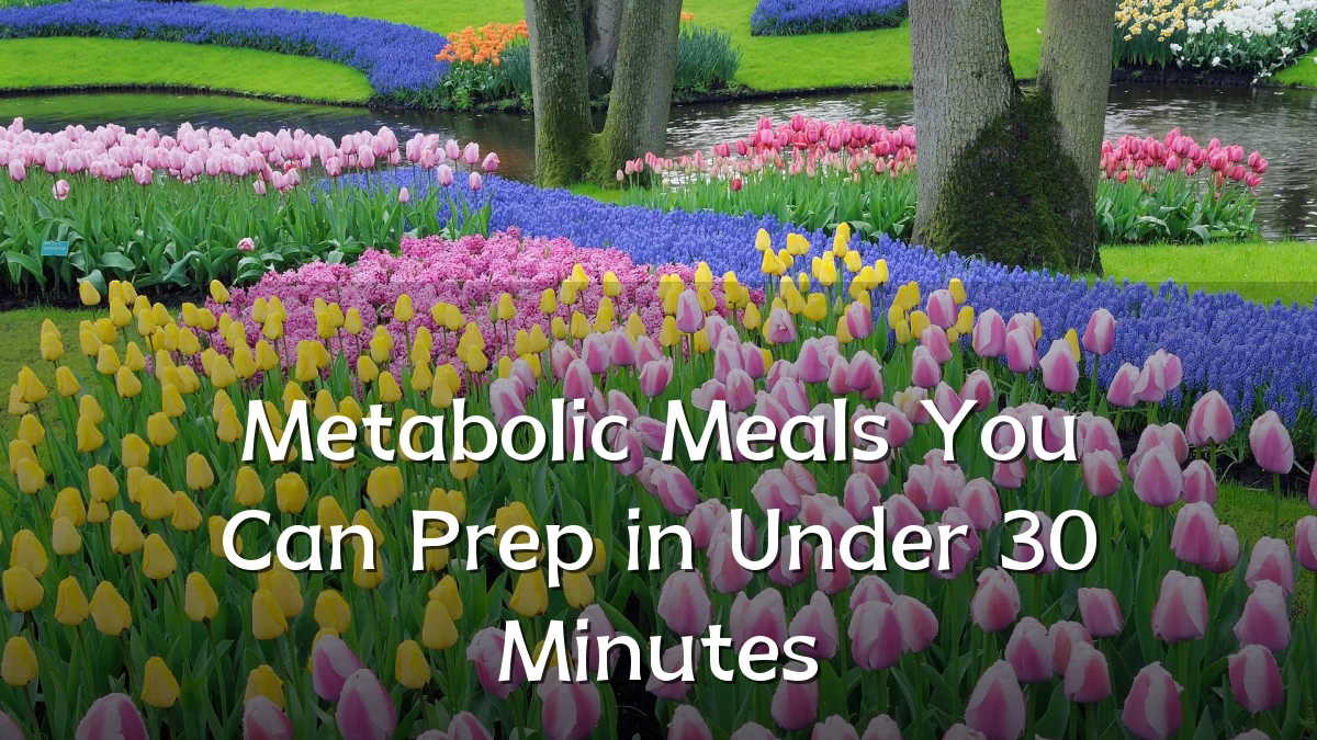 Metabolic Meals You Can Prep in Under 30 Minutes