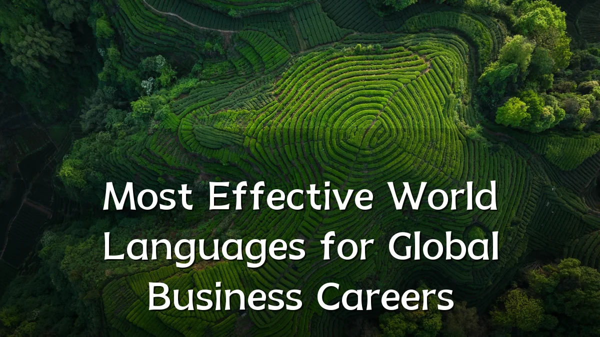 Most Effective World Languages for Global Business Careers