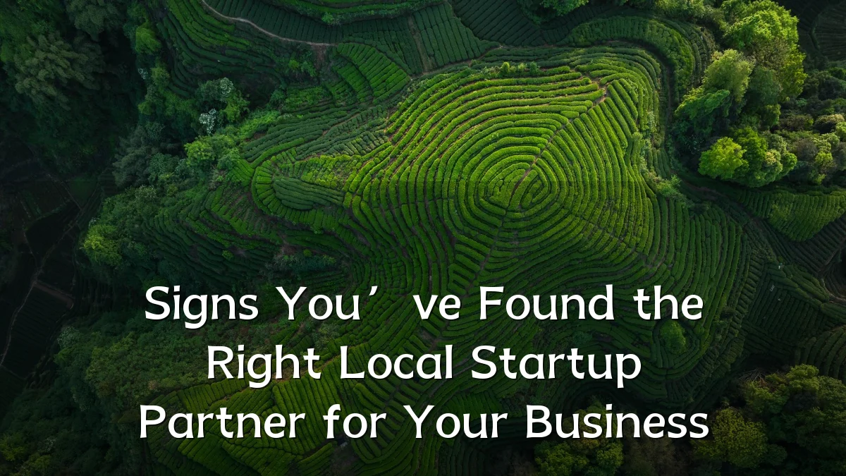 Signs You’ve Found the Right Local Startup Partner for Your Business