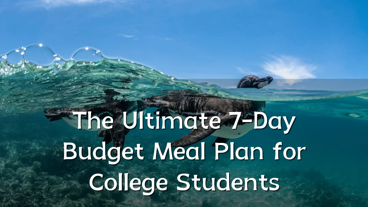 The Ultimate 7-Day Budget Meal Plan for College Students