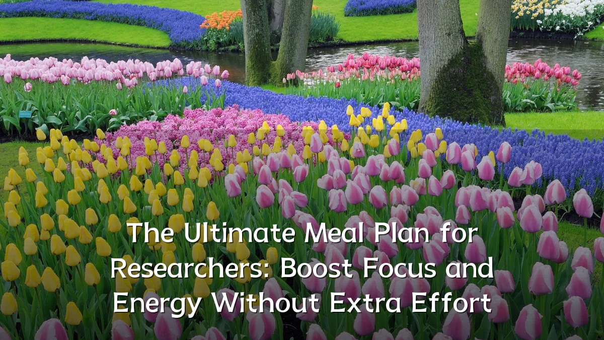 The Ultimate Meal Plan for Researchers: Boost Focus and Energy Without Extra Effort