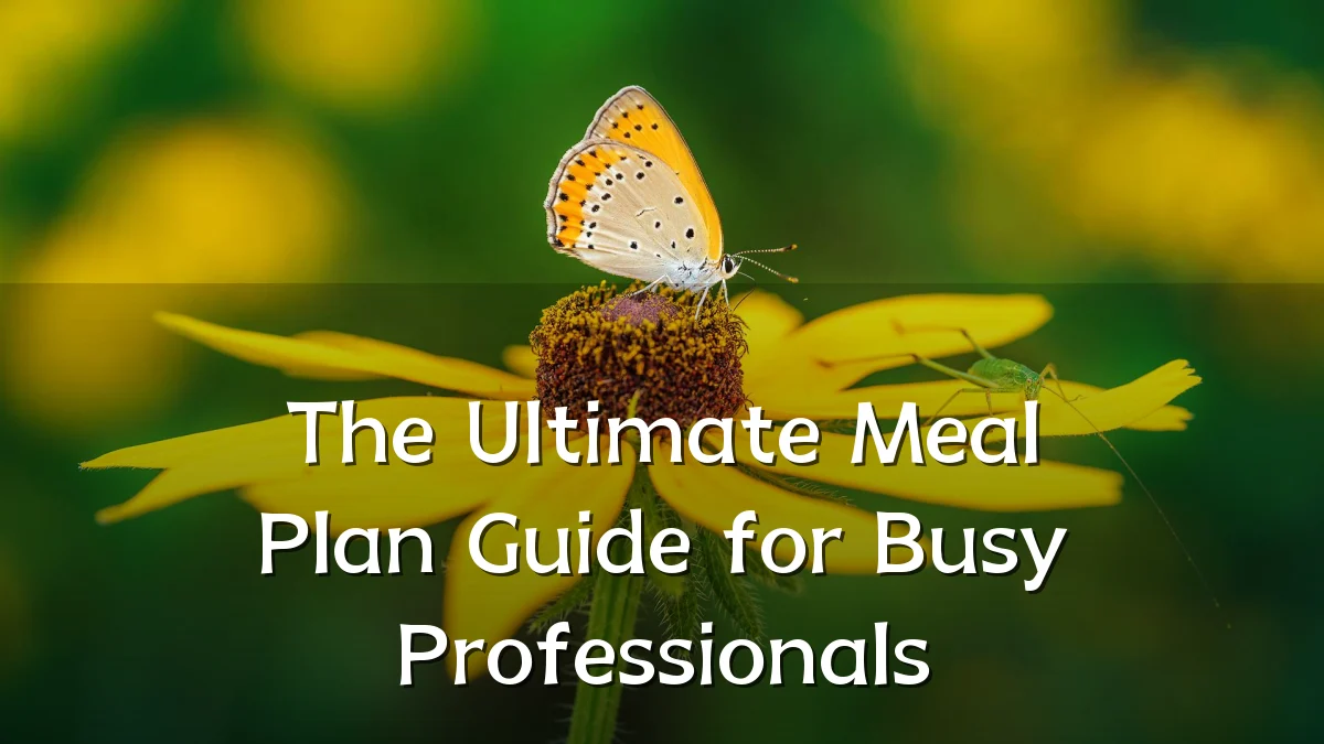 The Ultimate Meal Plan Guide for Busy Professionals