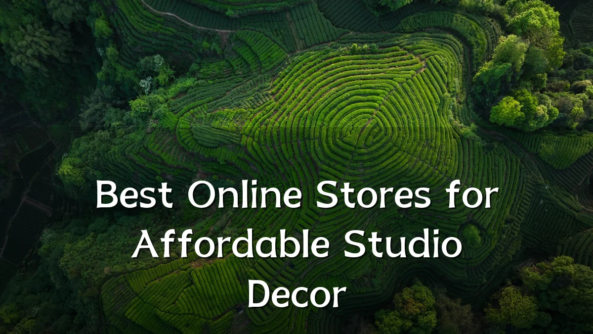 Best Online Stores for Affordable Studio Decor