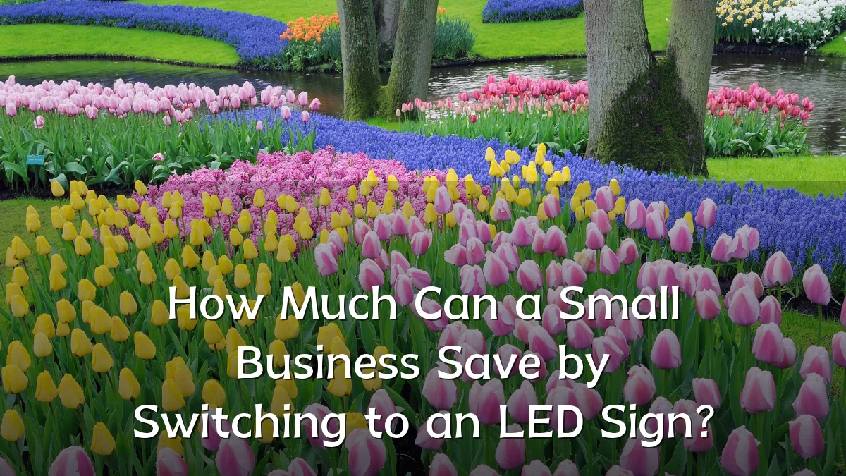 How Much Can a Small Business Save by Switching to an LED Sign?