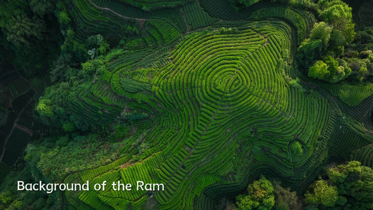 Background of the Ram