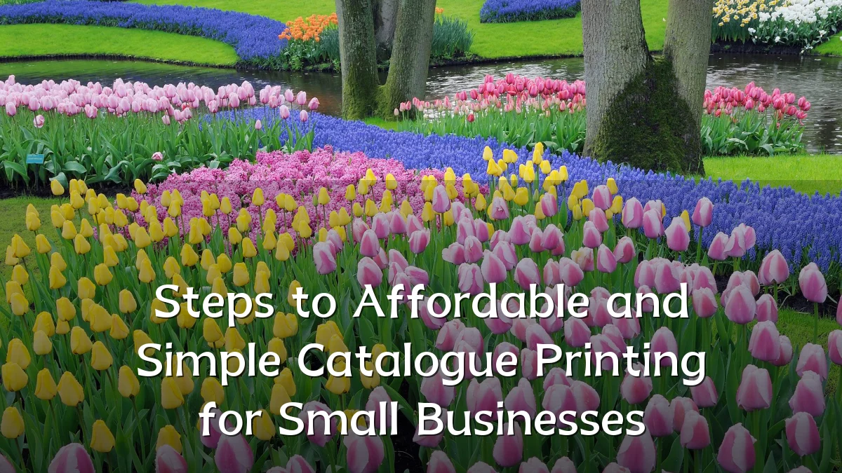 Steps to Affordable and Simple Catalogue Printing for Small Businesses