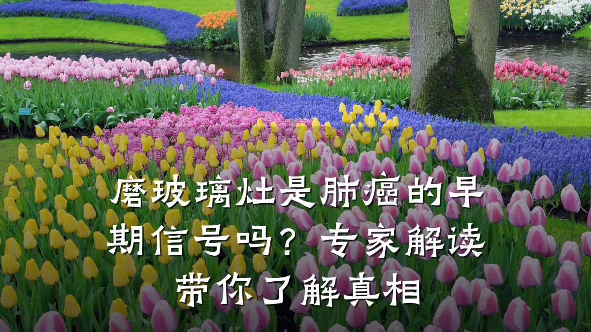 磨玻璃灶是肺癌的早期信号吗?专家解读带你了解真相