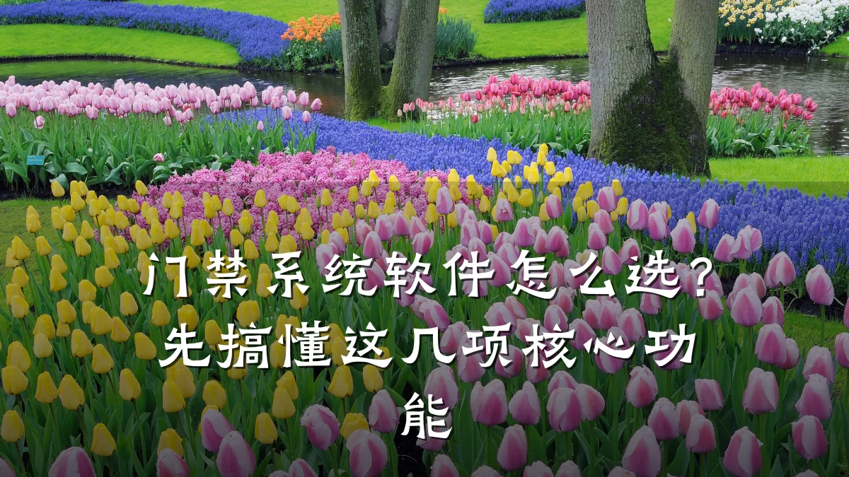 门禁系统软件怎么选？先搞懂这几项核心功能