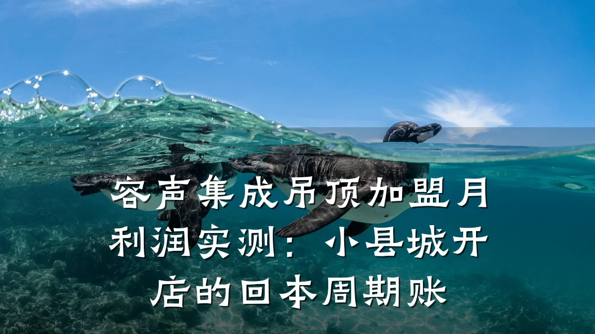 容声集成吊顶加盟月利润实测：小县城开店的回本周期账